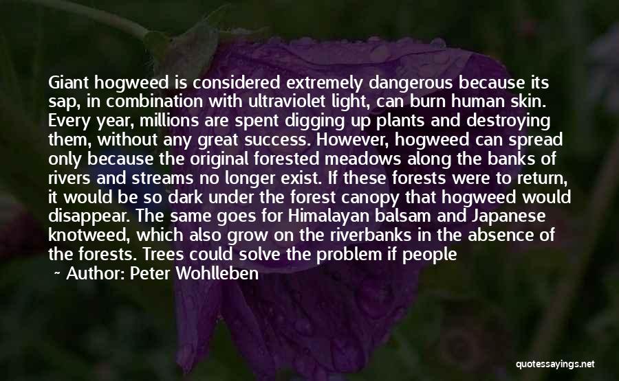 Peter Wohlleben Quotes 453486