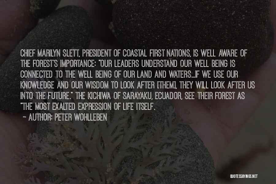 Peter Wohlleben Quotes 576620