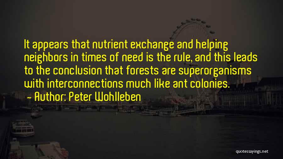 Peter Wohlleben Quotes 650199