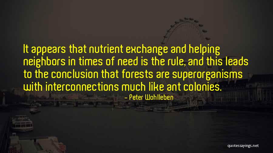 Peter Wohlleben Quotes 650199 Peter Wohlleben Quotes 650199