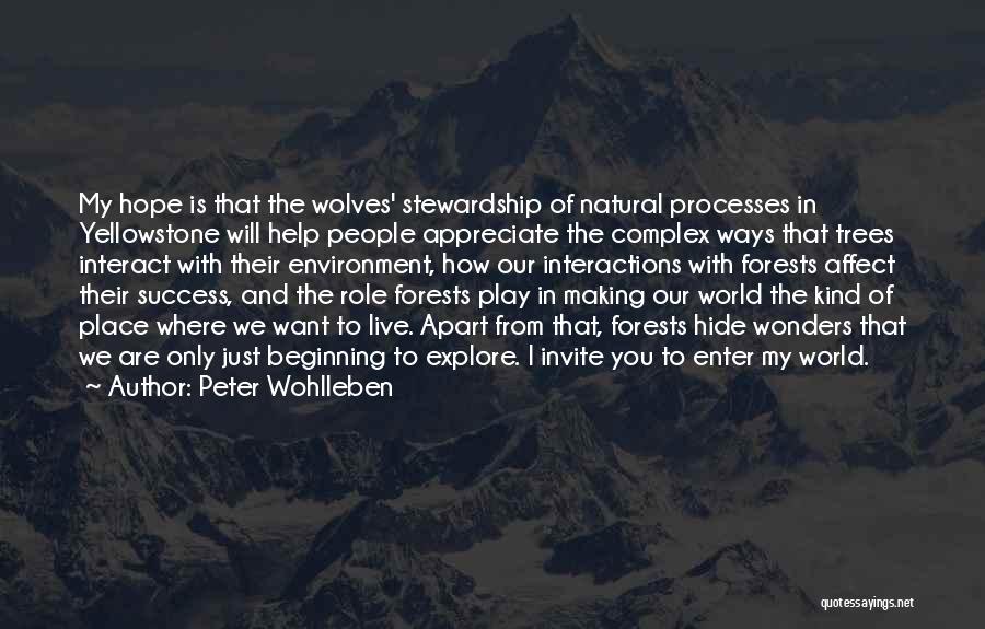 Peter Wohlleben Quotes 650924