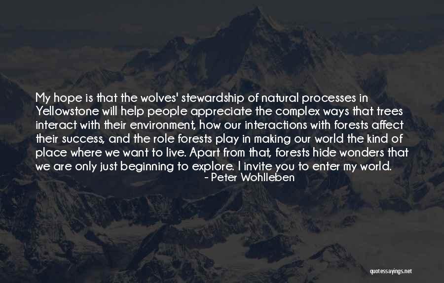 Peter Wohlleben Quotes 650924 Peter Wohlleben Quotes 650924