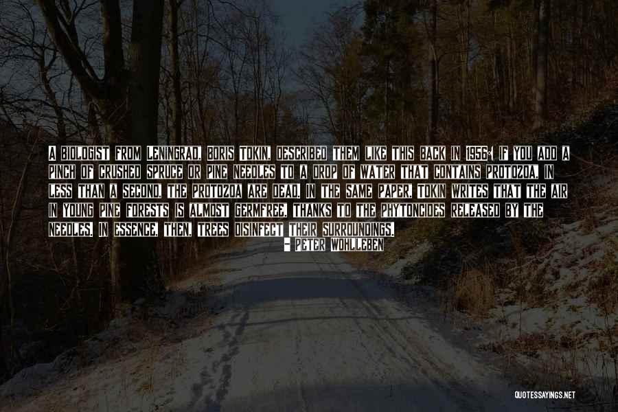 Peter Wohlleben Quotes 874820 Peter Wohlleben Quotes 874820
