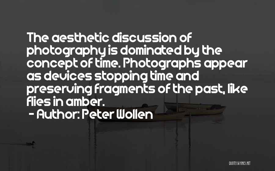 Peter Wollen Quotes 85742