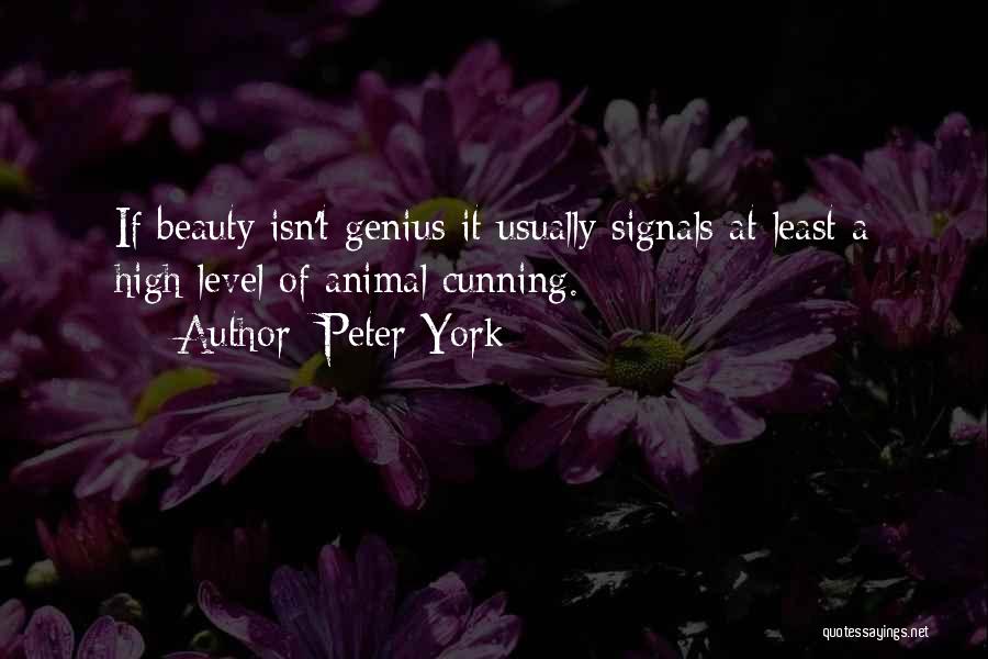 Peter York Quotes 173783