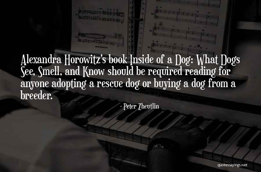 Peter Zheutlin Quotes 1978743 Peter Zheutlin Quotes 1978743