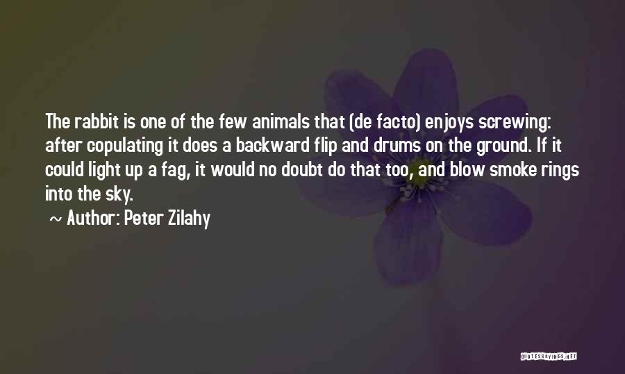 Peter Zilahy Quotes 778752