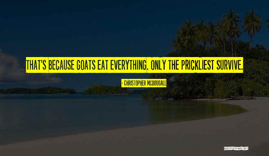 Petersdorf And Beeson Quotes By Christopher McDougall Petersdorf And Beeson Quotes By Christopher McDougall