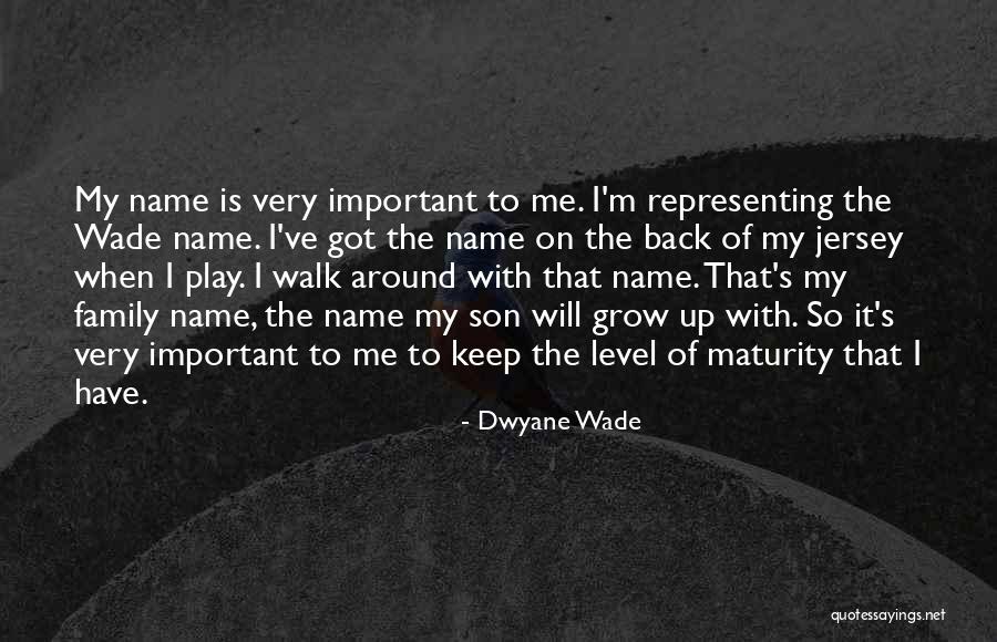 Petiot Island Quotes By Dwyane Wade Petiot Island Quotes By Dwyane Wade