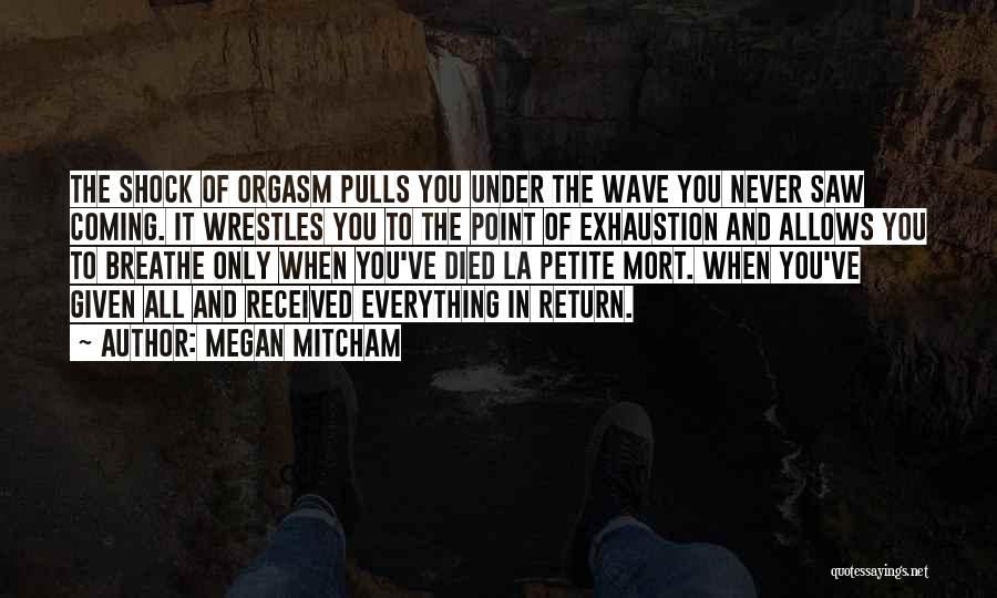 Petite Quotes By Megan Mitcham