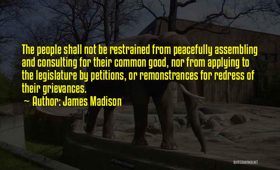 Petitions Quotes By James Madison