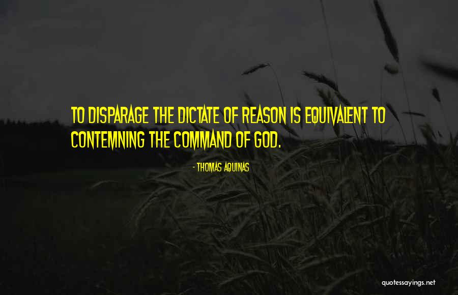 Petkovic Flamengo Quotes By Thomas Aquinas Petkovic Flamengo Quotes By Thomas Aquinas