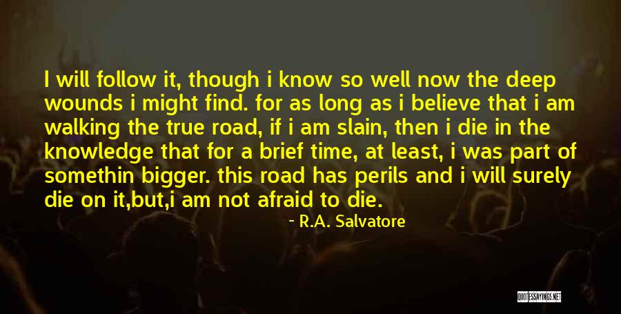 Petrarchan Vs Shakespearean Quotes By R.A. Salvatore Petrarchan Vs Shakespearean Quotes By R.A. Salvatore