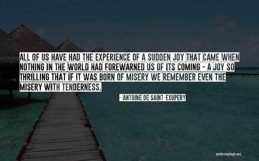 Petriceks Quotes By Antoine De Saint-Exupery Petriceks Quotes By Antoine De Saint-Exupery