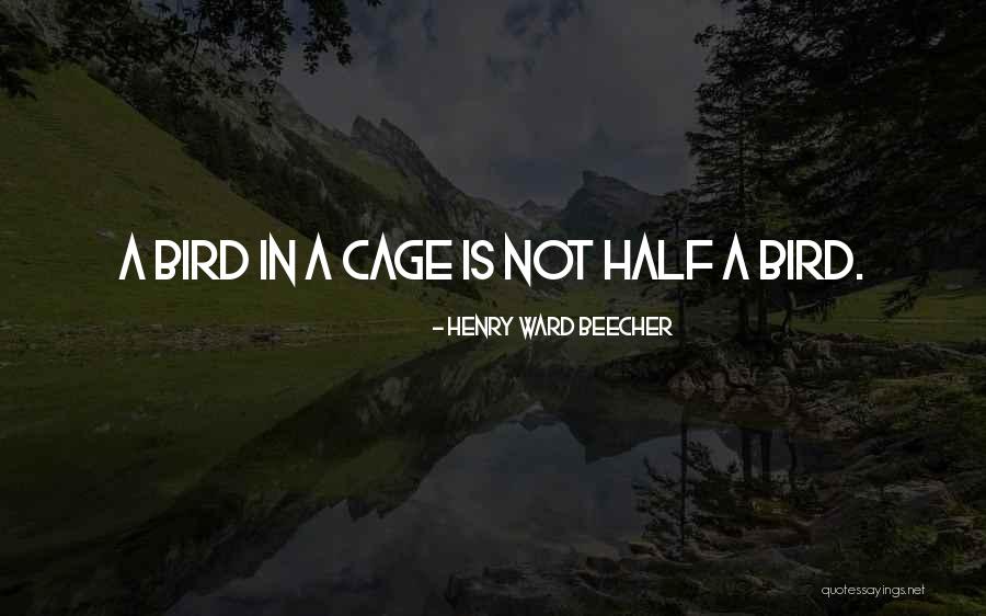 Petricka Baseball Quotes By Henry Ward Beecher Petricka Baseball Quotes By Henry Ward Beecher