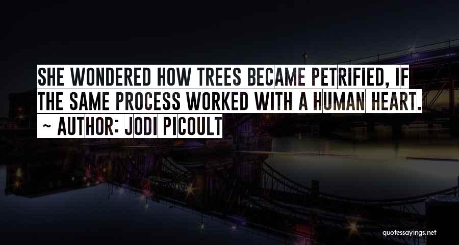 Petrified Quotes By Jodi Picoult