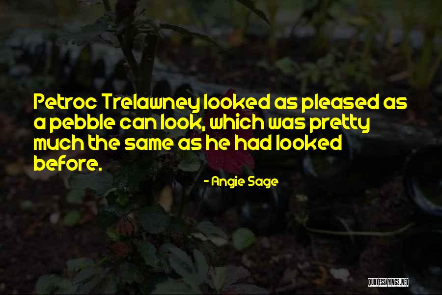 Petroc Quotes By Angie Sage Petroc Quotes By Angie Sage