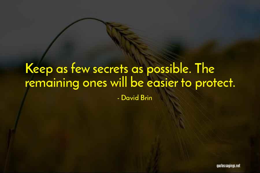 Petrocci Builders Quotes By David Brin Petrocci Builders Quotes By David Brin