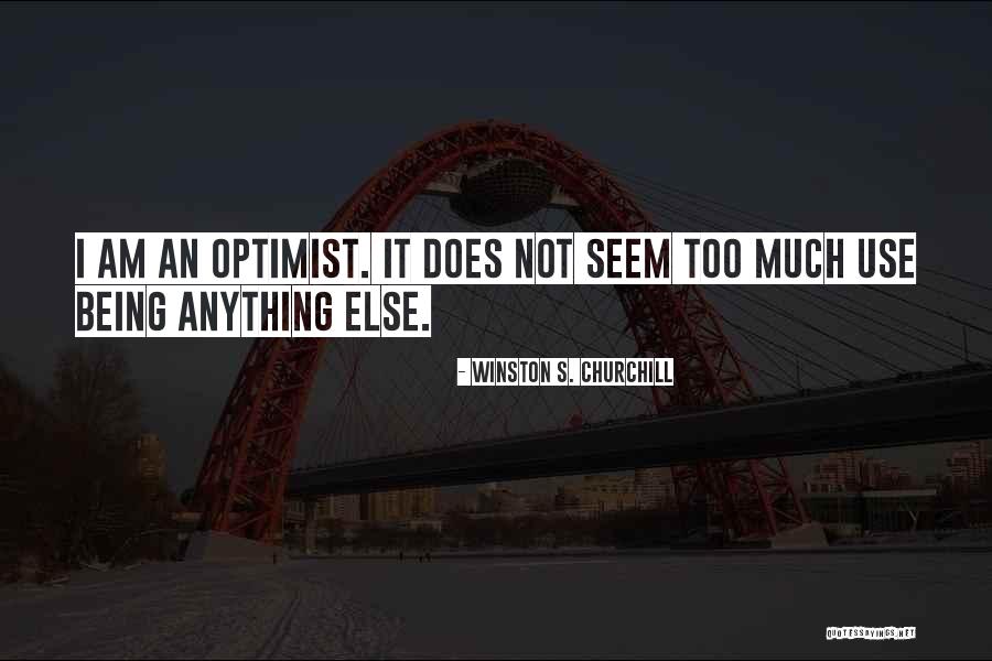 Petroio Winery Quotes By Winston S. Churchill