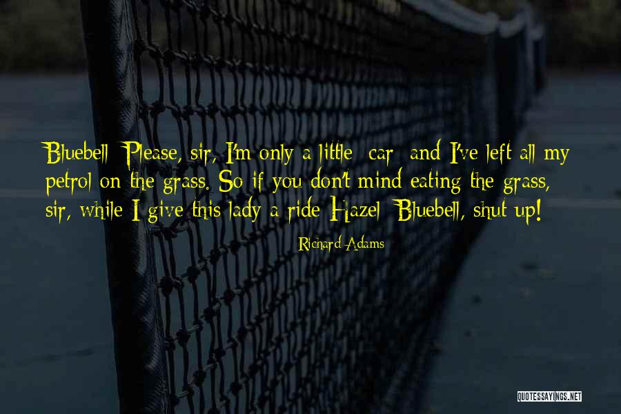 Petrol Quotes By Richard Adams Petrol Quotes By Richard Adams