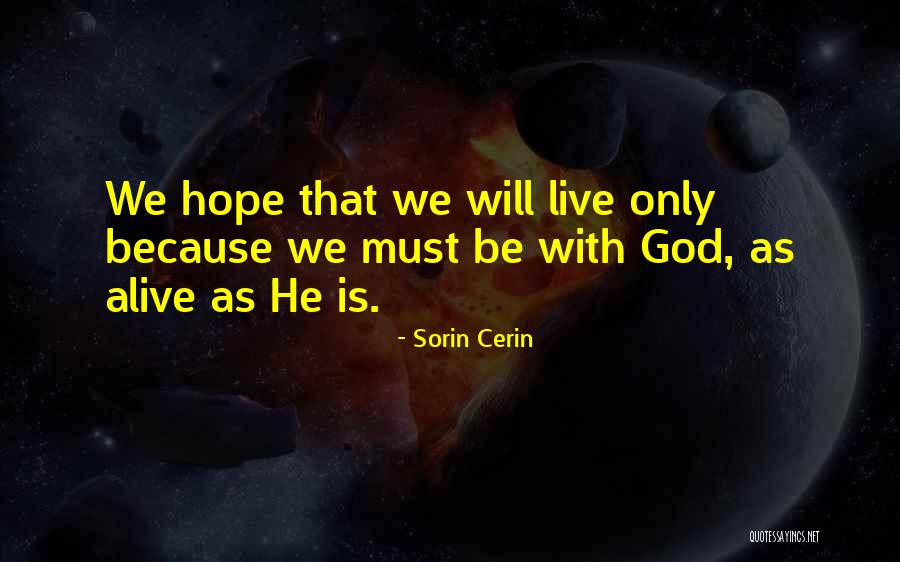 Petrologistics Quotes By Sorin Cerin Petrologistics Quotes By Sorin Cerin