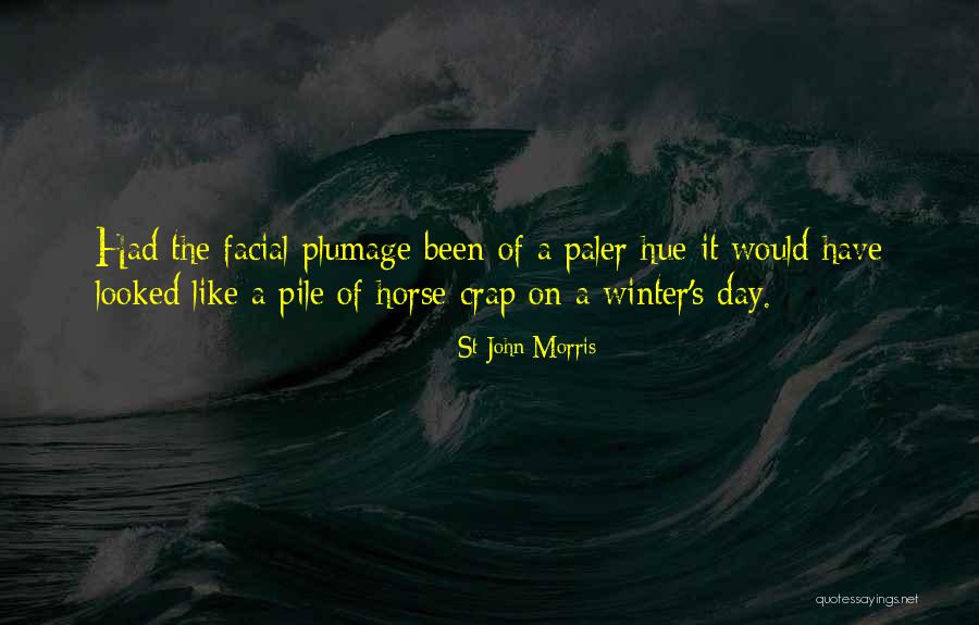 Petrosinella Persona Quotes By St John Morris Petrosinella Persona Quotes By St John Morris
