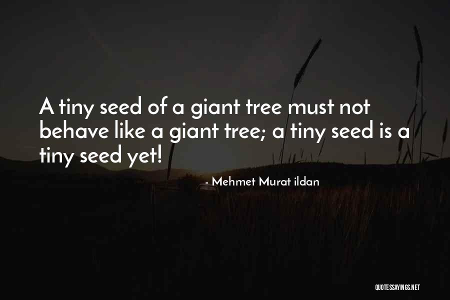 Petrov Defense Quotes By Mehmet Murat Ildan Petrov Defense Quotes By Mehmet Murat Ildan