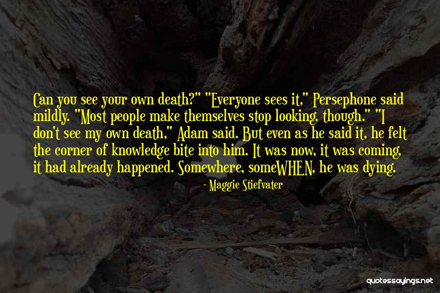 Petrova Doppelgangers Quotes By Maggie Stiefvater Petrova Doppelgangers Quotes By Maggie Stiefvater