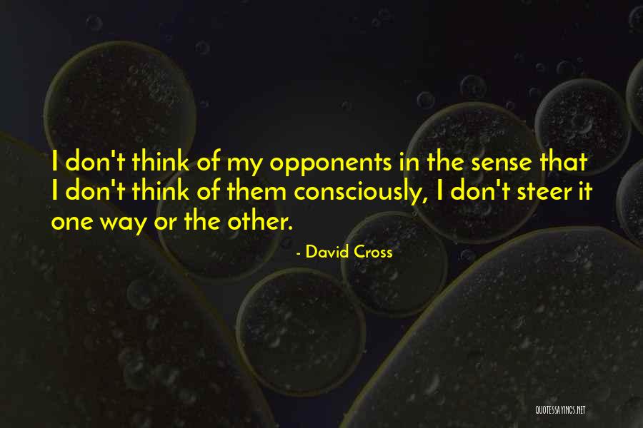 Petrovich Romanov Quotes By David Cross Petrovich Romanov Quotes By David Cross