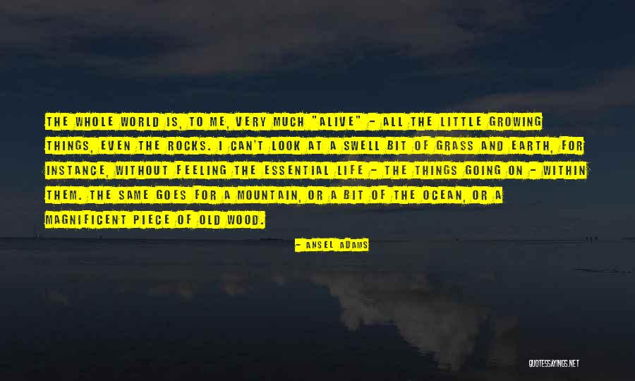 Petrozzi Wellness Quotes By Ansel Adams Petrozzi Wellness Quotes By Ansel Adams