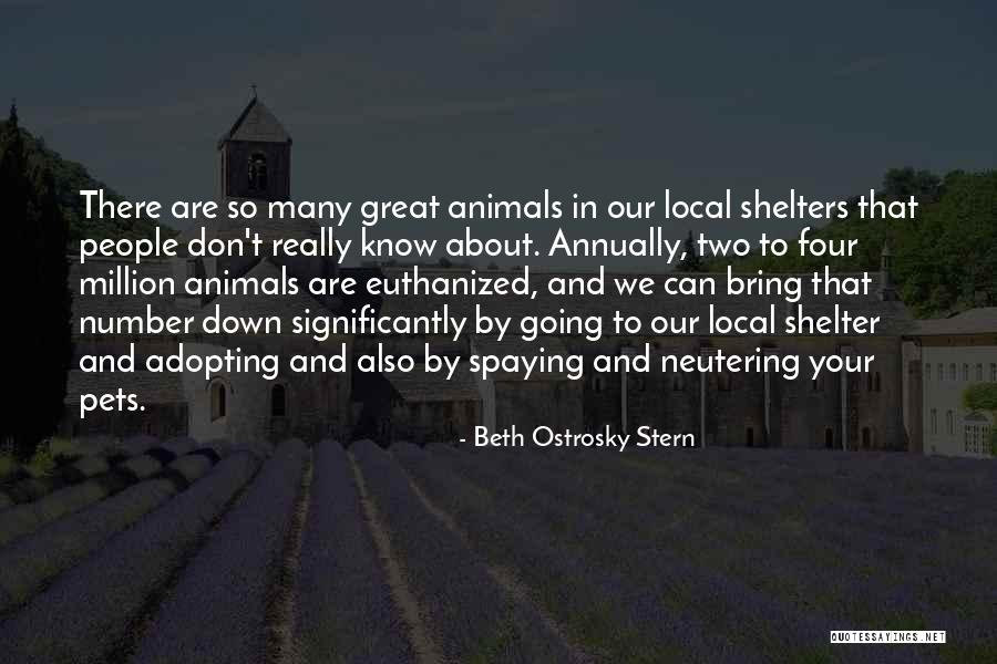 Pets And Animals Quotes By Beth Ostrosky Stern Pets And Animals Quotes By Beth Ostrosky Stern