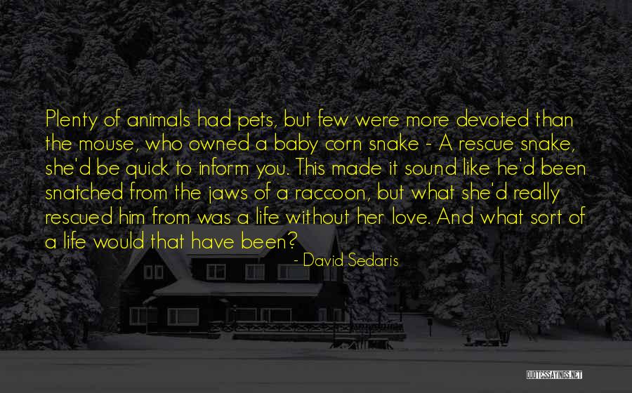 Pets And Animals Quotes By David Sedaris Pets And Animals Quotes By David Sedaris