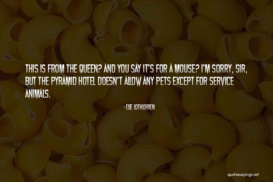 Pets And Animals Quotes By Elle Lothlorien Pets And Animals Quotes By Elle Lothlorien