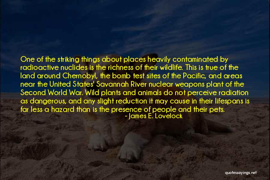 Pets And Animals Quotes By James E. Lovelock Pets And Animals Quotes By James E. Lovelock