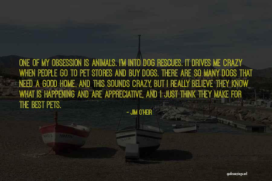 Pets And Animals Quotes By Jim O'Heir Pets And Animals Quotes By Jim O'Heir