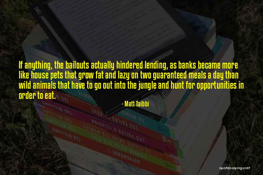 Pets And Animals Quotes By Matt Taibbi Pets And Animals Quotes By Matt Taibbi