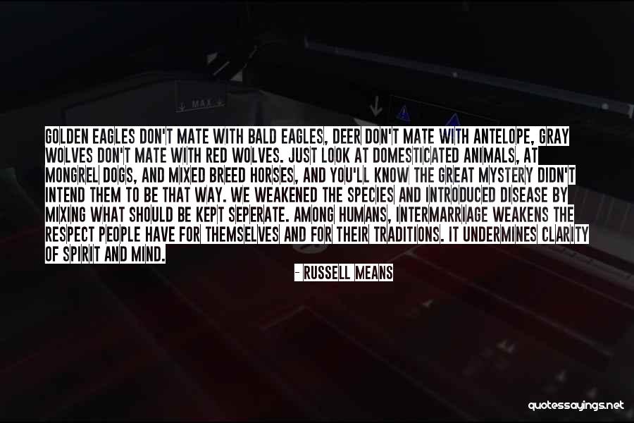 Pets And Animals Quotes By Russell Means Pets And Animals Quotes By Russell Means