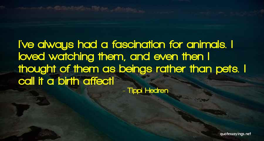 Pets And Animals Quotes By Tippi Hedren Pets And Animals Quotes By Tippi Hedren