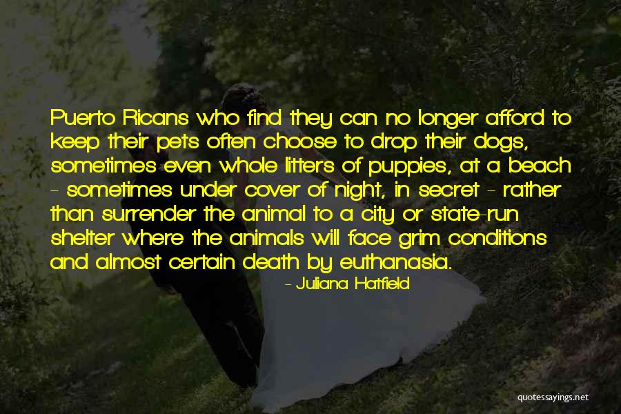 Pets And Death Quotes By Juliana Hatfield Pets And Death Quotes By Juliana Hatfield