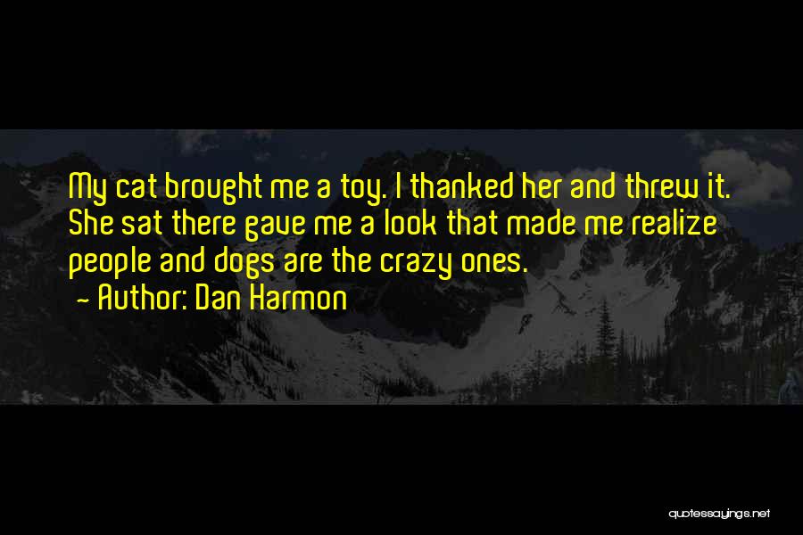 Pets Dogs Quotes By Dan Harmon