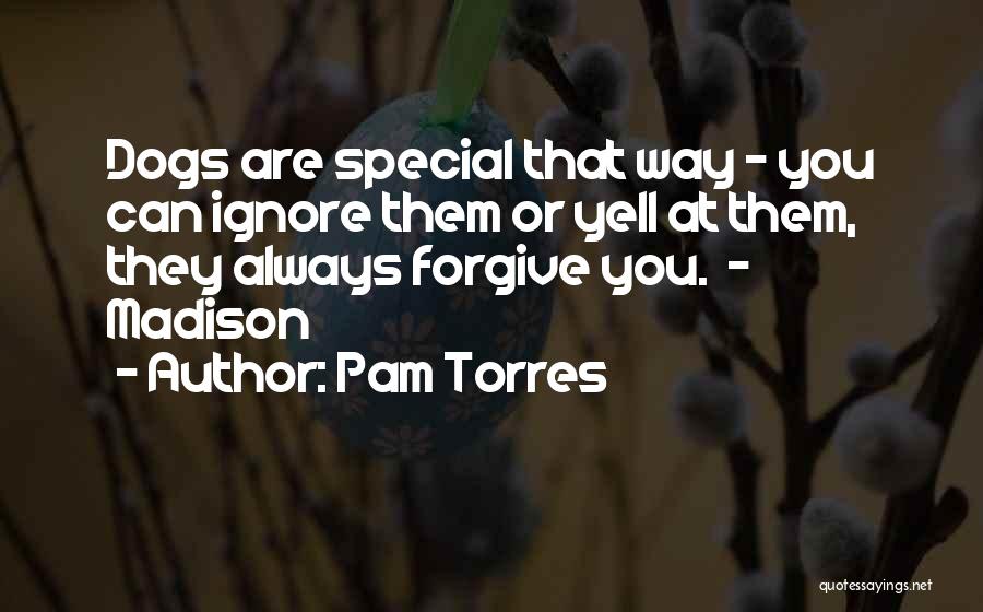Pets Dogs Quotes By Pam Torres
