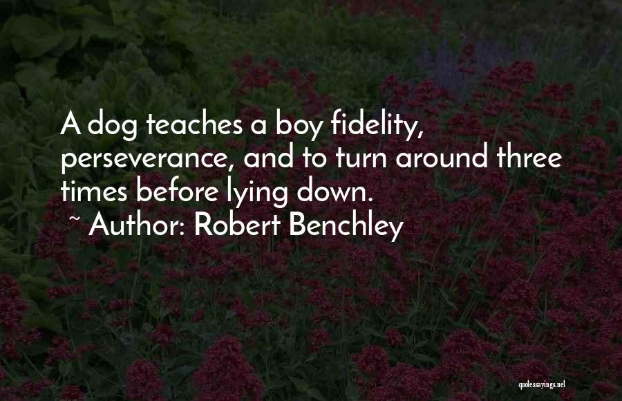 Pets Dogs Quotes By Robert Benchley