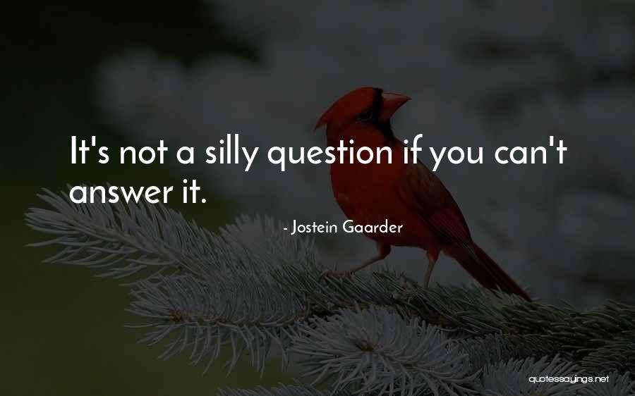 Petteruti Family Practice Quotes By Jostein Gaarder