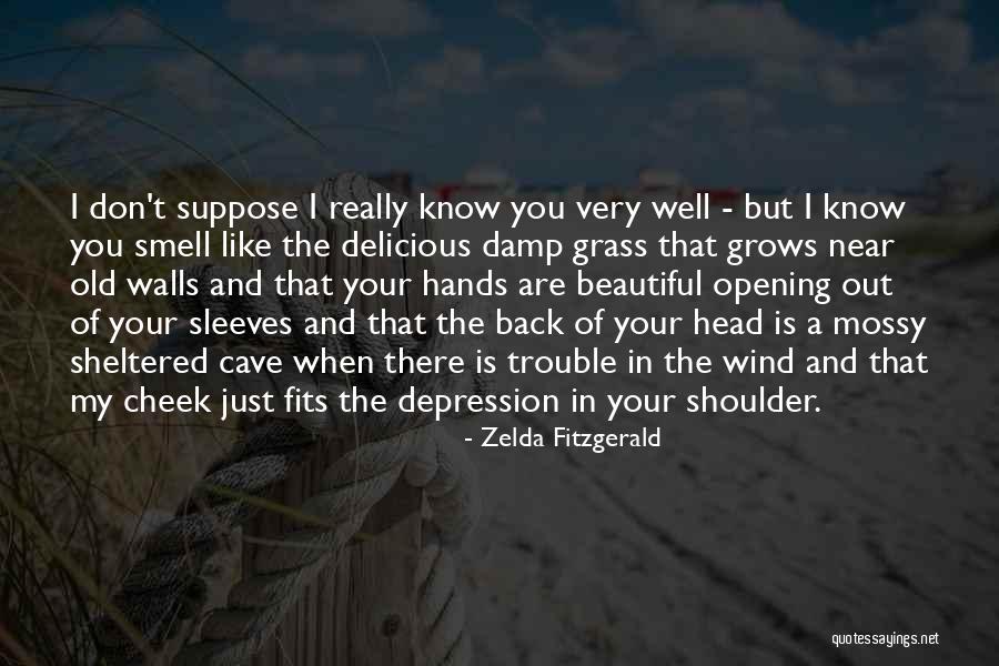 Petticoat Lane Quotes By Zelda Fitzgerald Petticoat Lane Quotes By Zelda Fitzgerald
