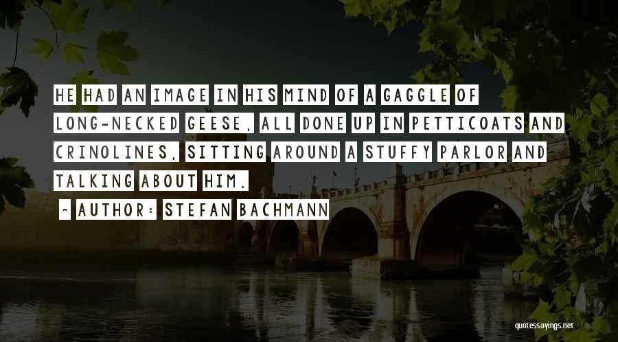 Petticoats Quotes By Stefan Bachmann