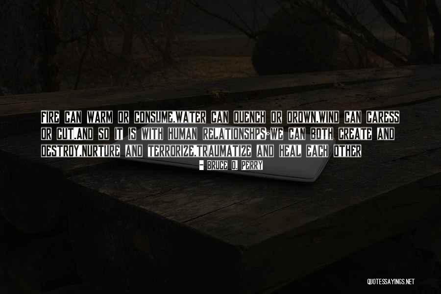 Pettinari Cong Quotes By Bruce D. Perry Pettinari Cong Quotes By Bruce D. Perry
