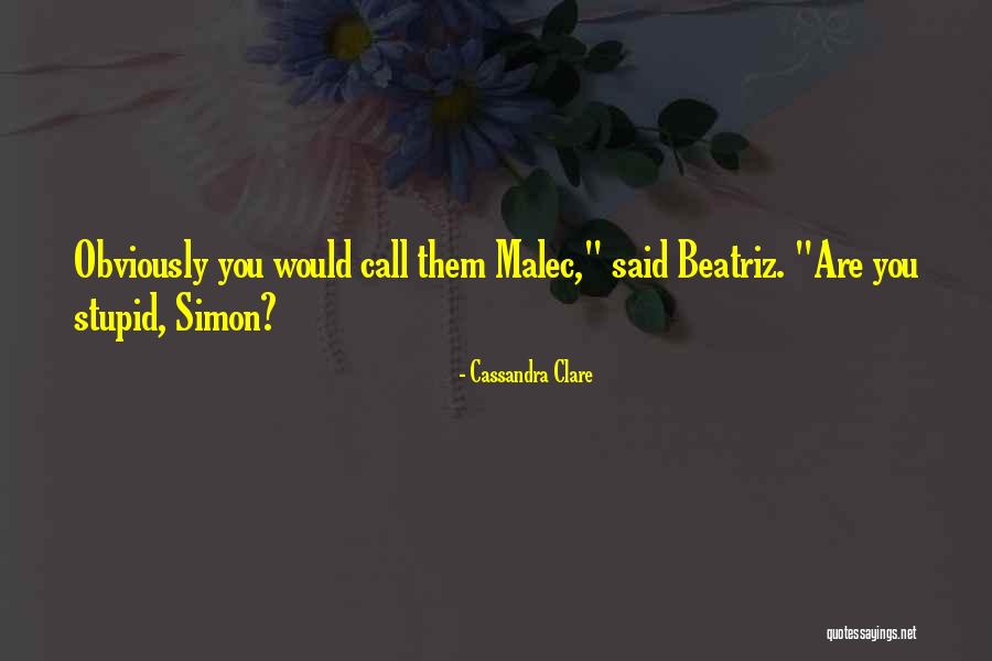 Pettinaroli Valve Quotes By Cassandra Clare Pettinaroli Valve Quotes By Cassandra Clare
