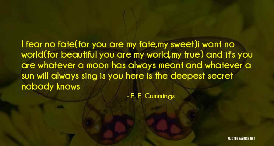 Pettipiece Associates Quotes By E. E. Cummings Pettipiece Associates Quotes By E. E. Cummings