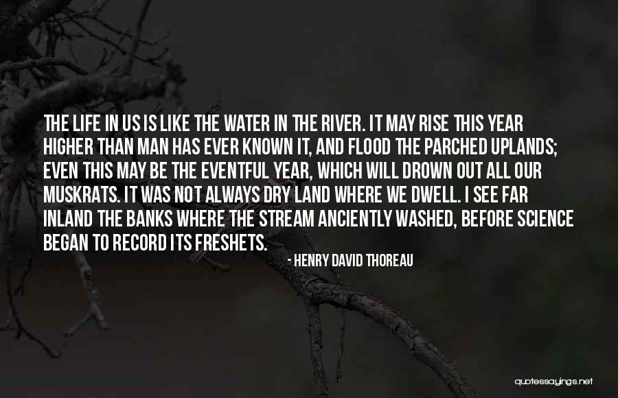 Petty Females Quotes By Henry David Thoreau Petty Females Quotes By Henry David Thoreau