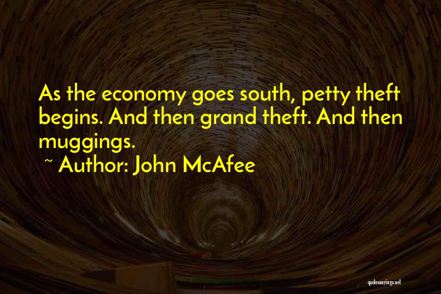 Petty Theft Quotes By John McAfee